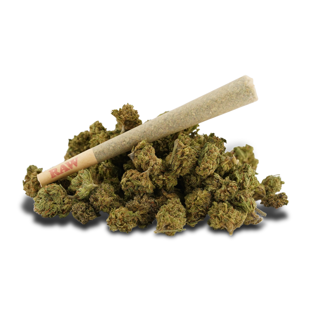 
                  
                    Sativa Lifter CBD Pre-Rolls
                  
                