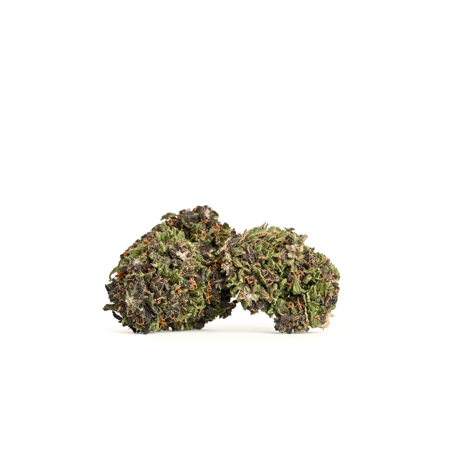 
                  
                    Two Blue Meringue CBD Flower Nugs - Side view of two dense, green buds with deep purple hues and frosty trichomes, grown in Oregon and harvested in 2023. Each nug contains 17% CBD with dominant terpenes myrcene, terpinolene, and beta-caryophyllene, offering a sweet, citrus aroma.
                  
                