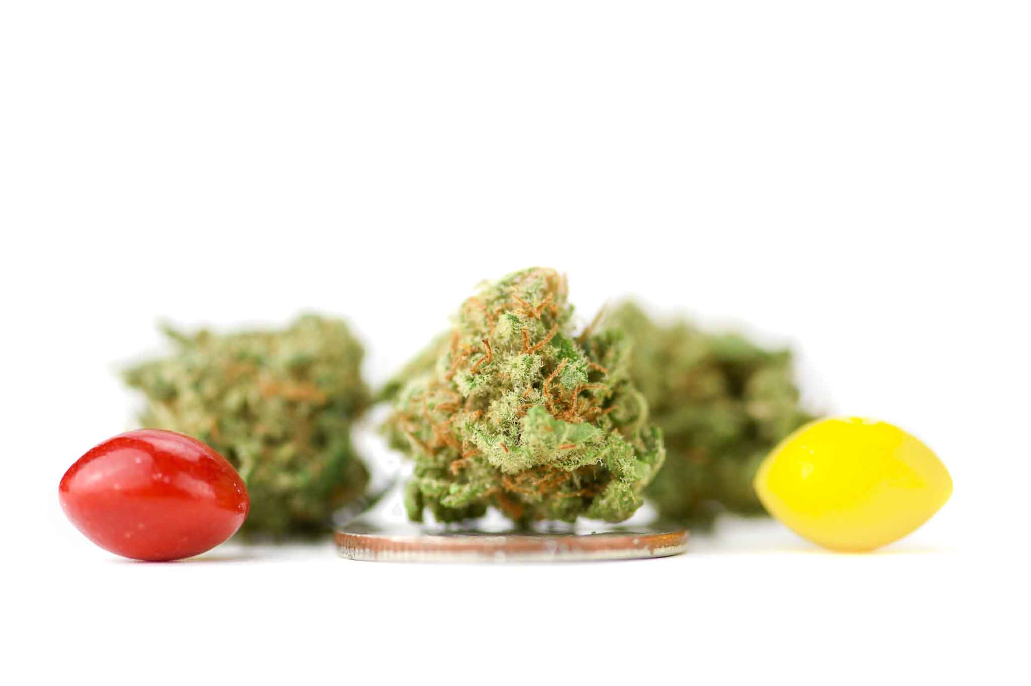 Zkittles CBG cannabis light CBD 29% - Erba Legale Online