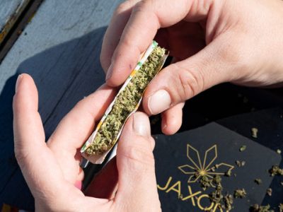 6-steps-to-roll-a-cbd-joint-jaxon-blog-4_large